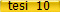 tesi  10